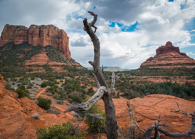 Sedona Landscape