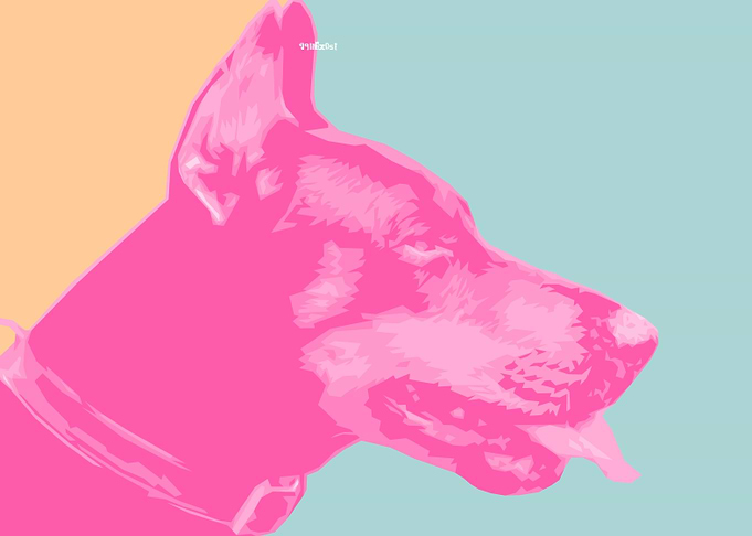 Doberman