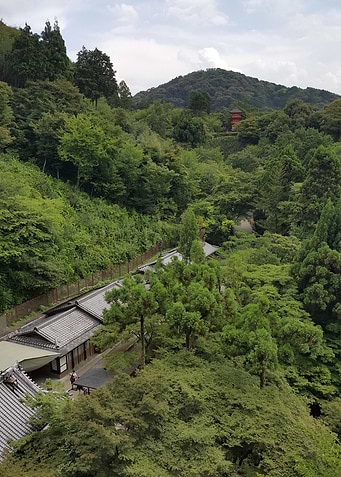 The Path to the Temple