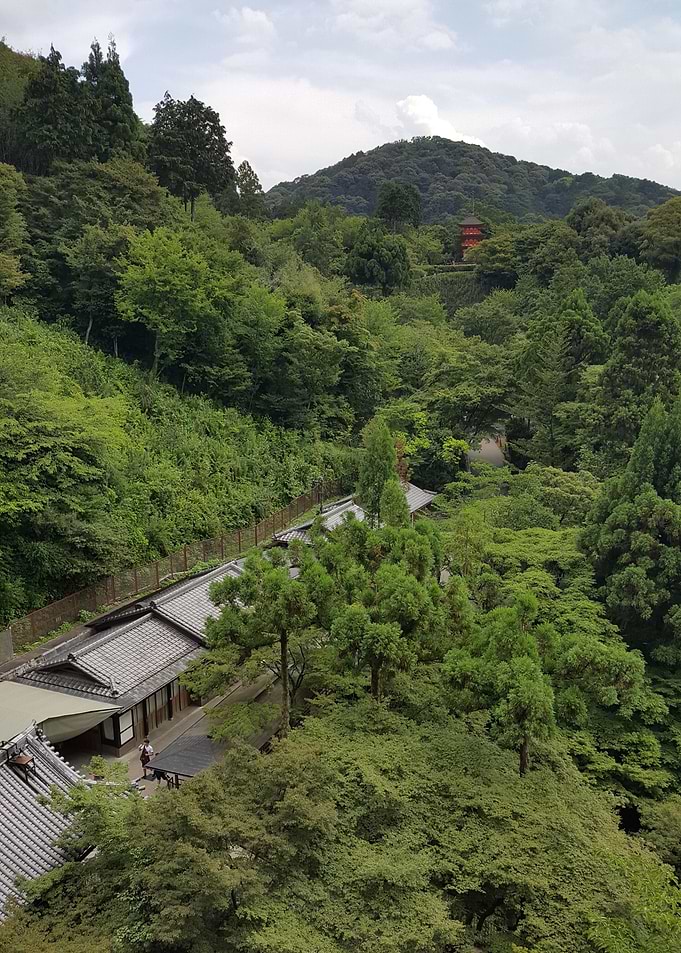 The Path to the Temple