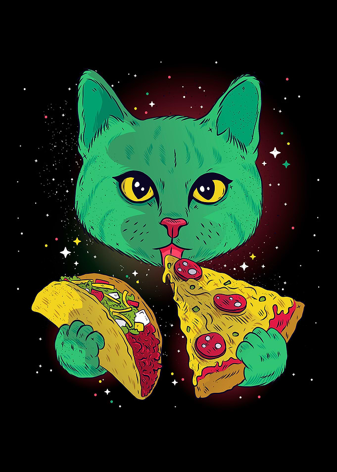 Cosmic cat