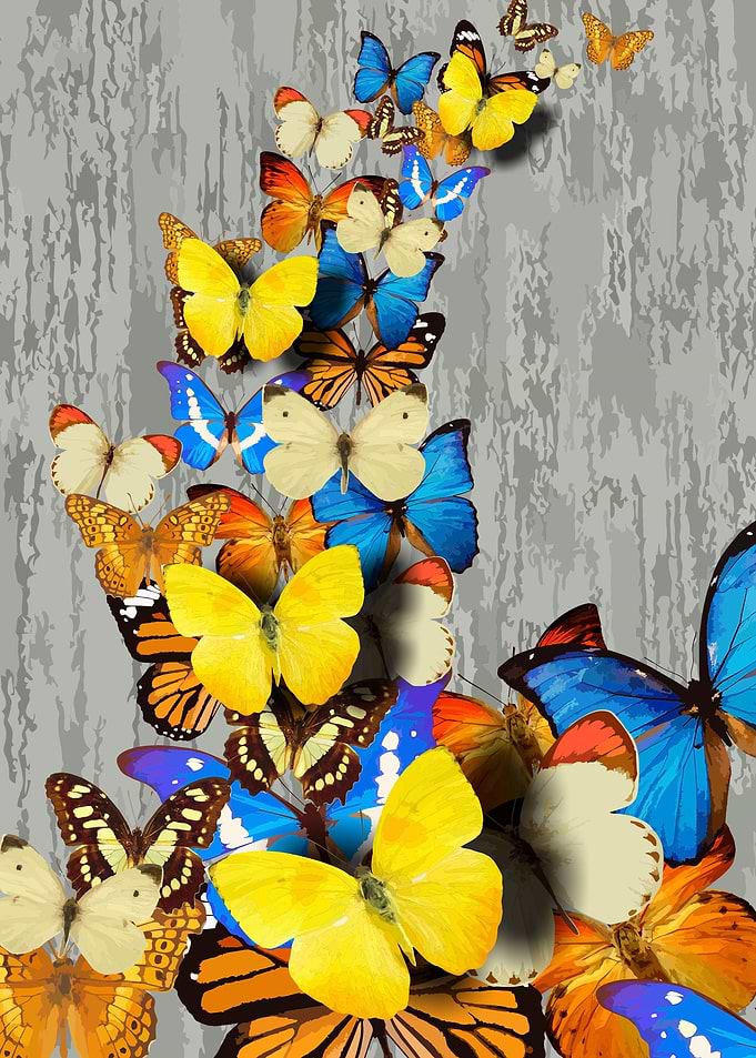 Butterfly haven