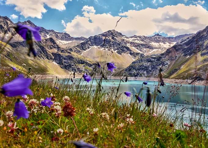 Flower Mountain