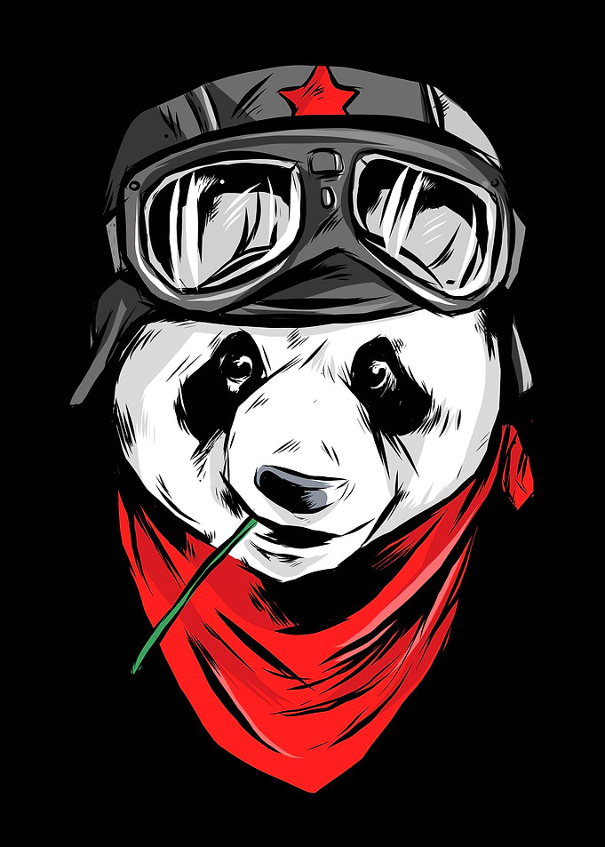 Panda Cool