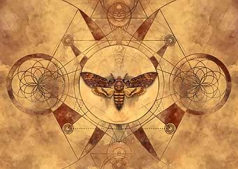 Deathhead Hawkmoth