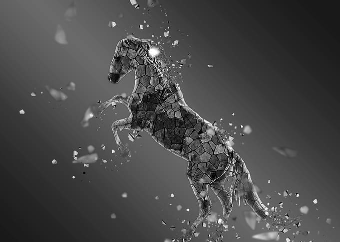 la mosaique du cheval nb