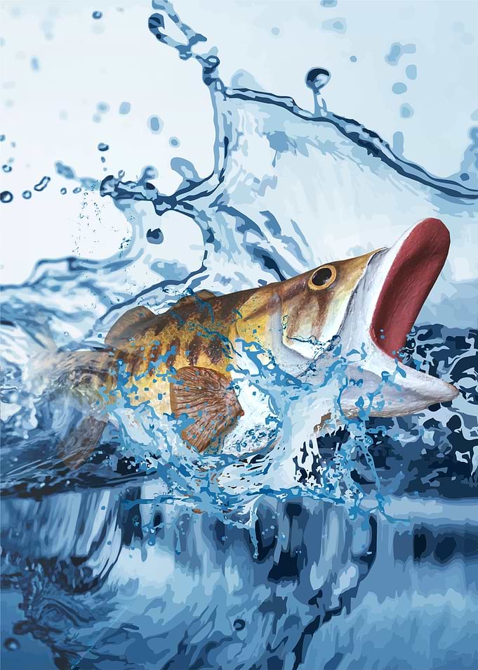 Fish splash water
