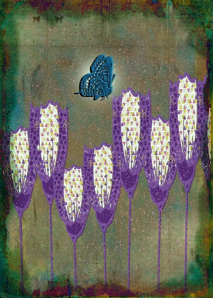Blue Butterfly