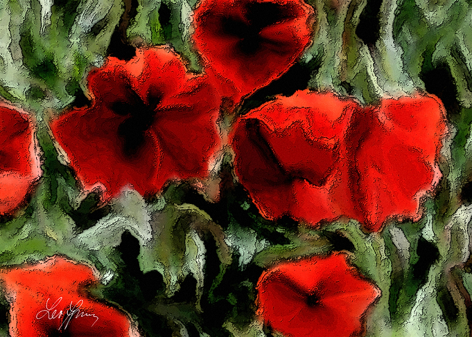 Wild Poppies