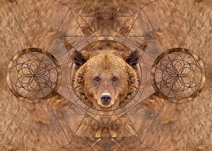 Bear