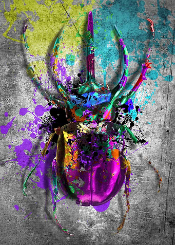 insect3