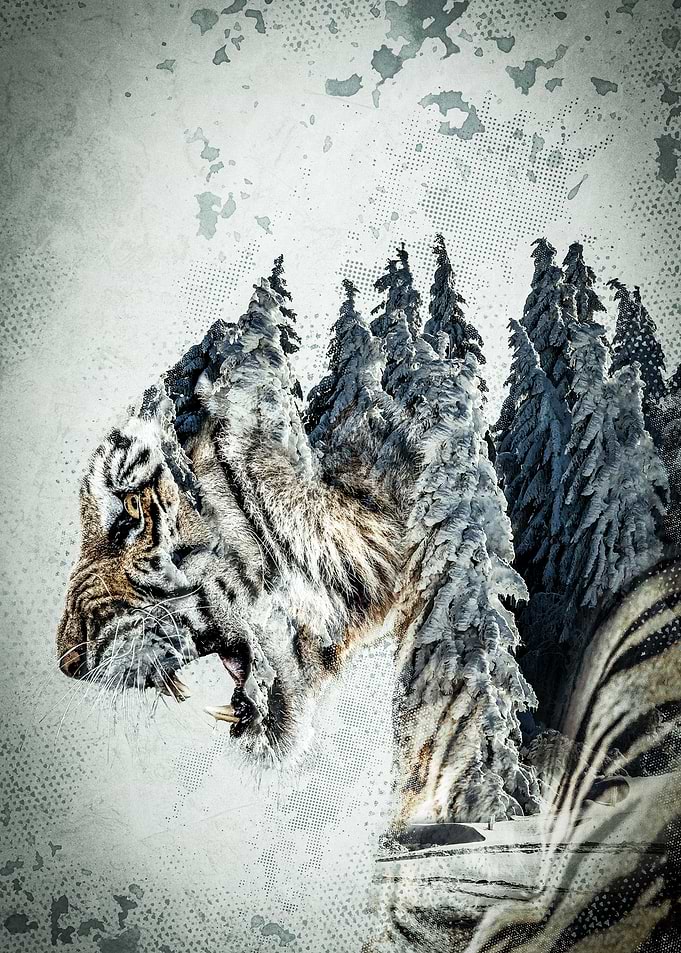 Winter Tiger