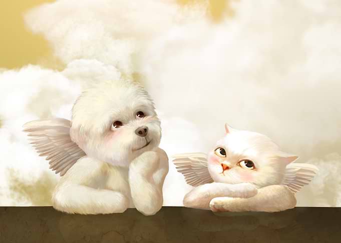 Cherubs