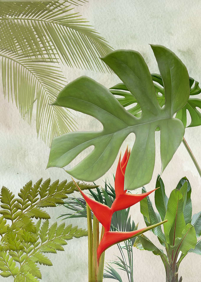 Tropical leaves