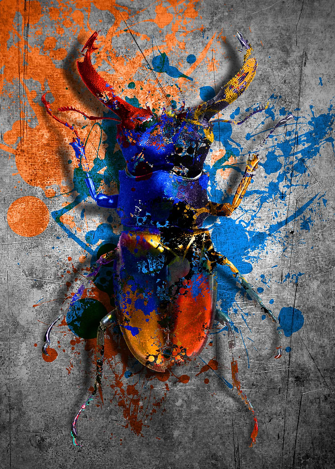 insect4