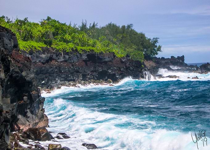 Puna Coast