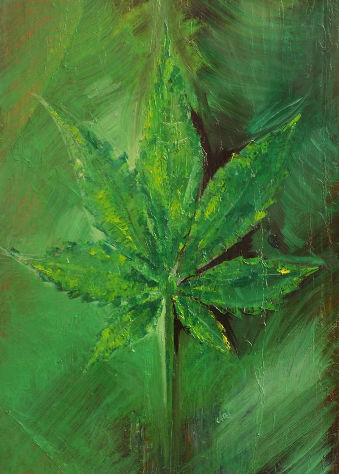 Cannabis