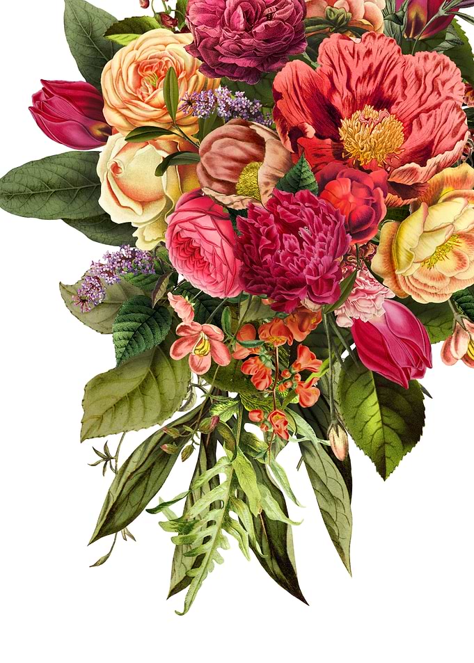 Bouquet