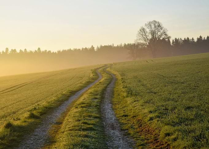 Fieldroad Sunrise
