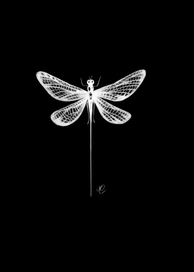 Dragonfly