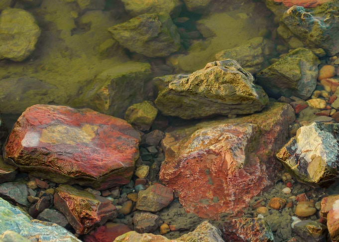 Wet rocks in a river