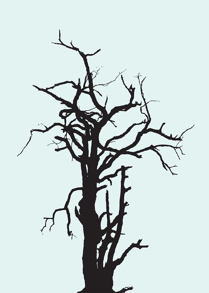 Untimely Tree