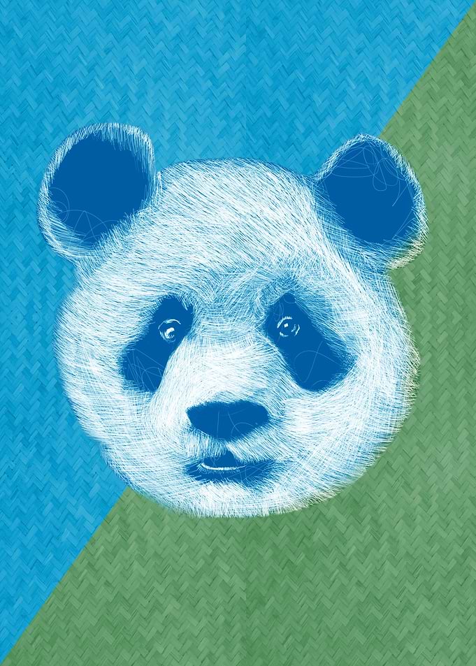 Panda Blue Green