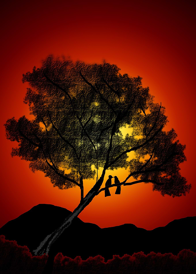 Love Birds At Dawn