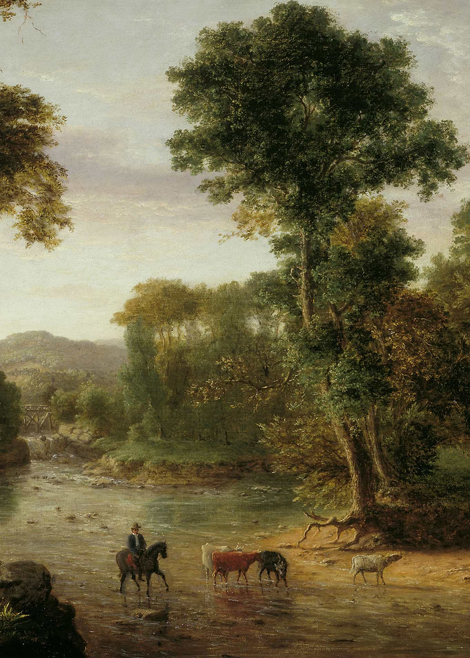 Nature landscape