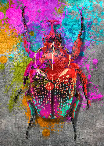 insect1