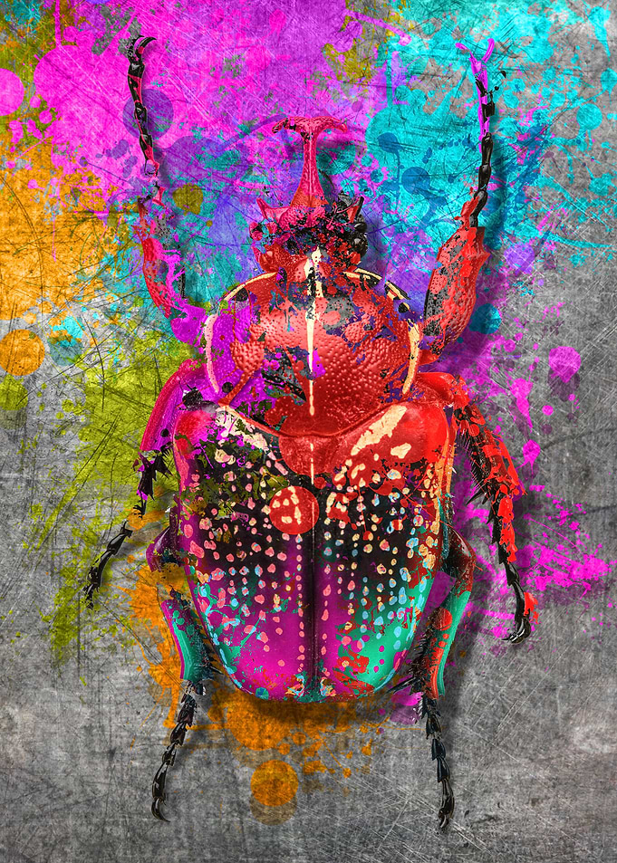 insect1