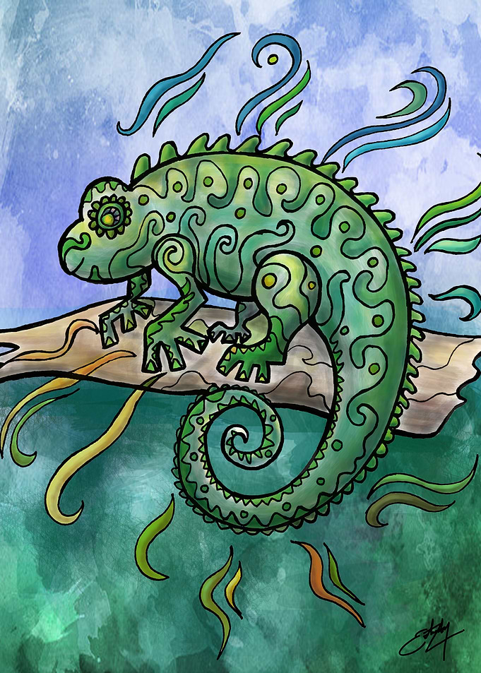 Ecuadorian Iguana