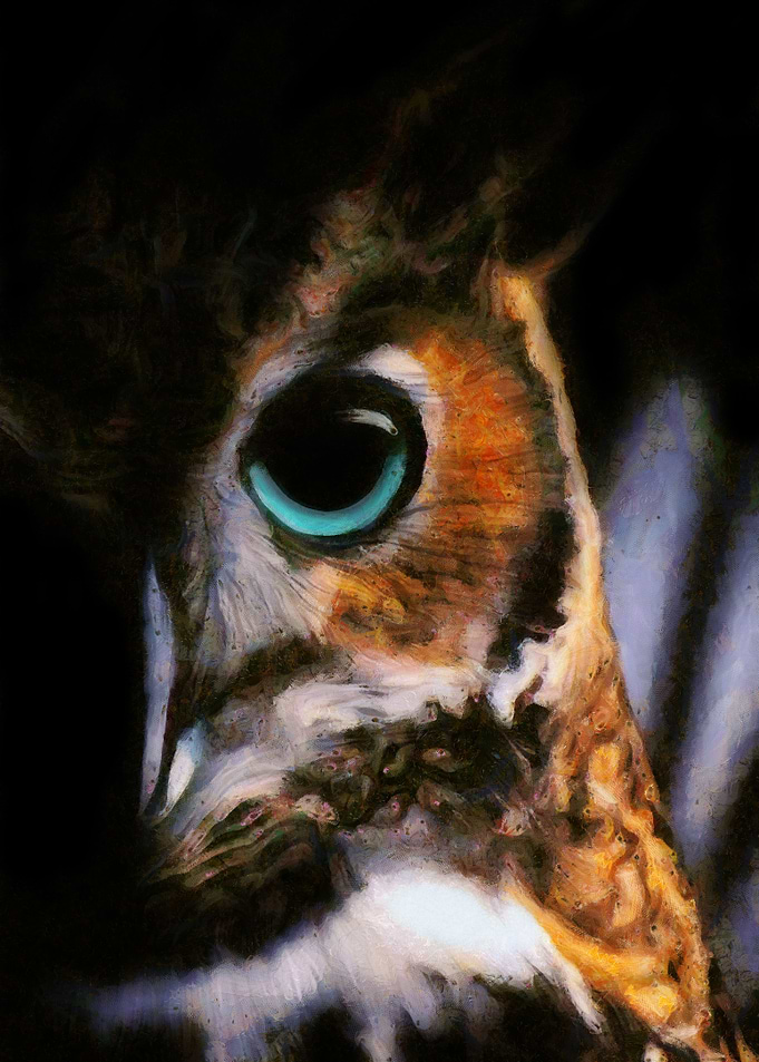 Owl Painting