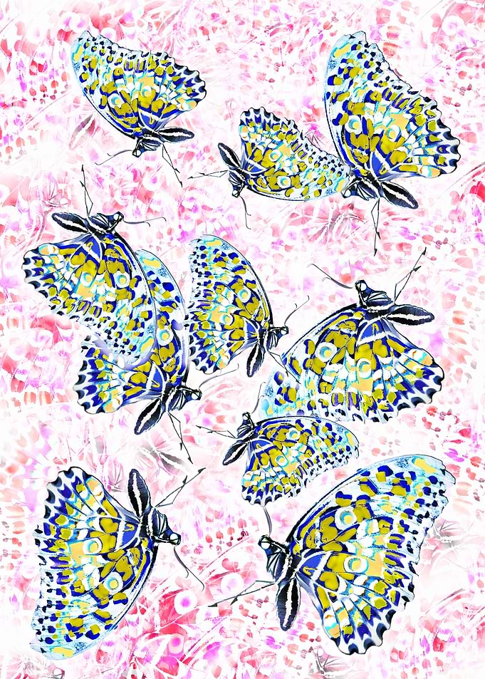 Butterflies dance1