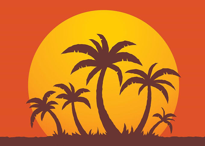 Palm Trees and Sun