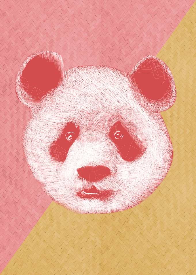 Panda pink yellow