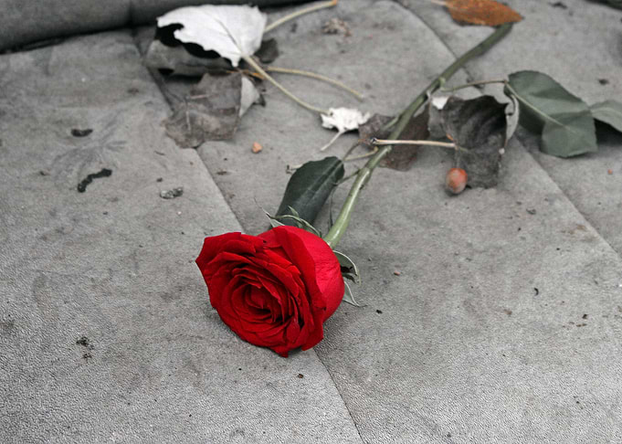 Rose in abandoned car