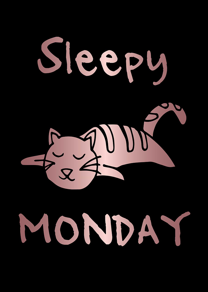 Funny Monday Cat 35