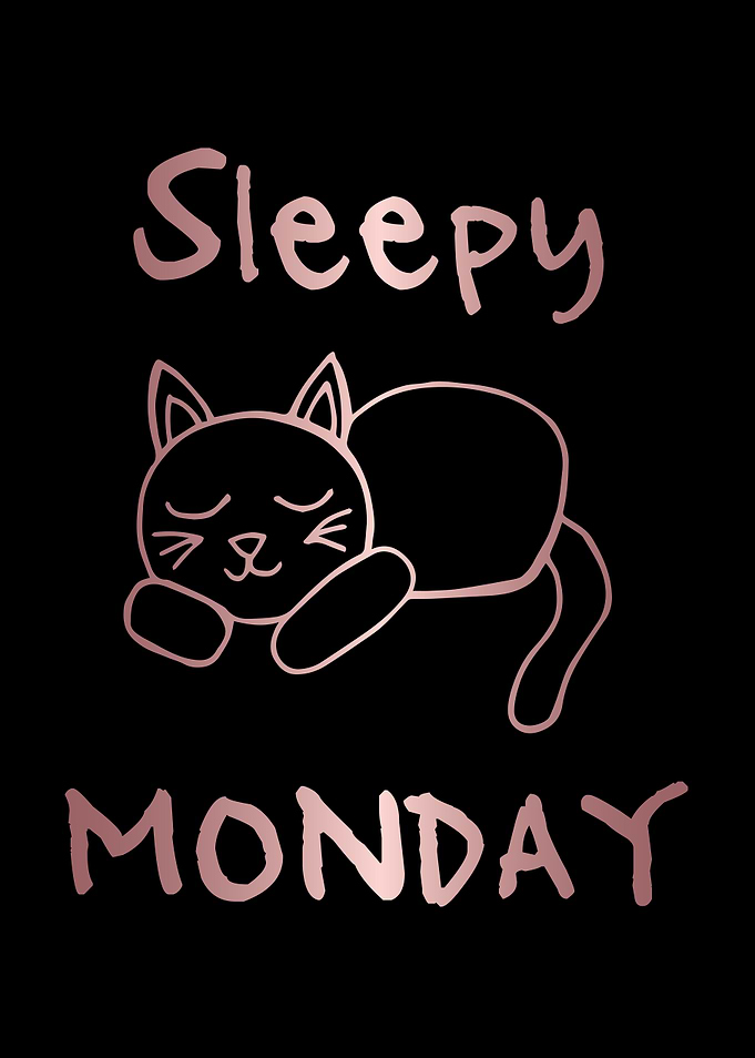 Funny Monday Cat 12
