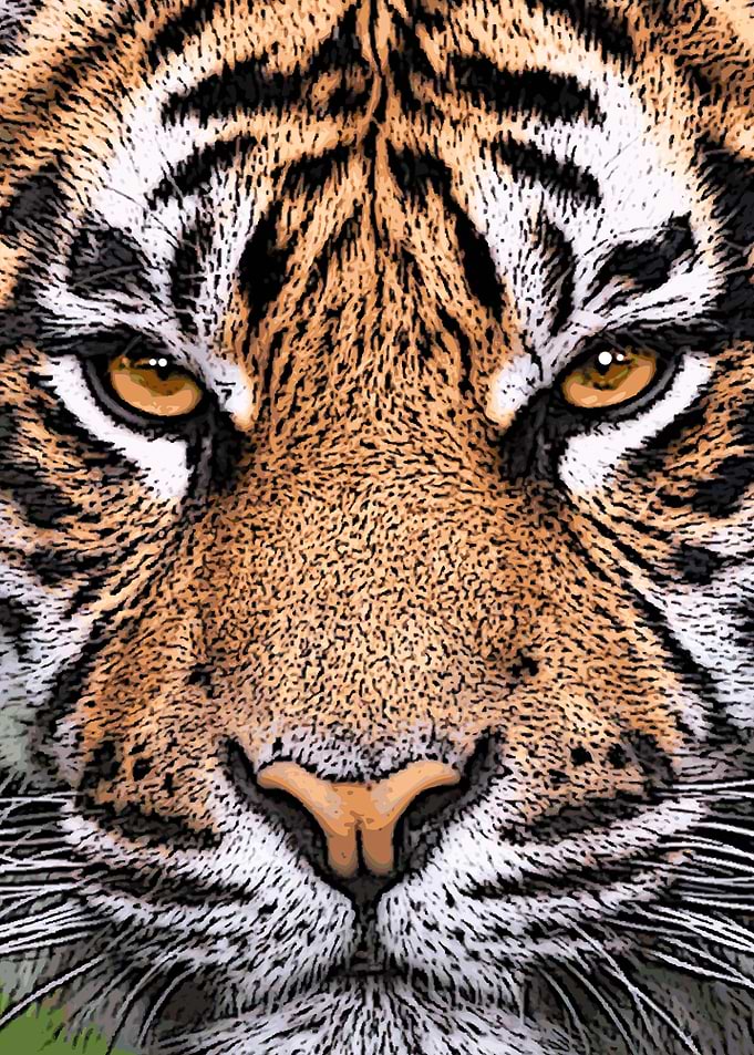 Tiger Abstract