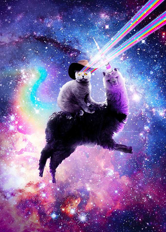 Laser Eyes Cat On Llama