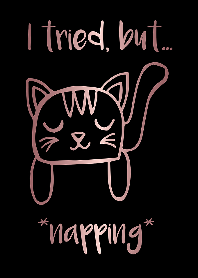 Nap Cat Animal 15