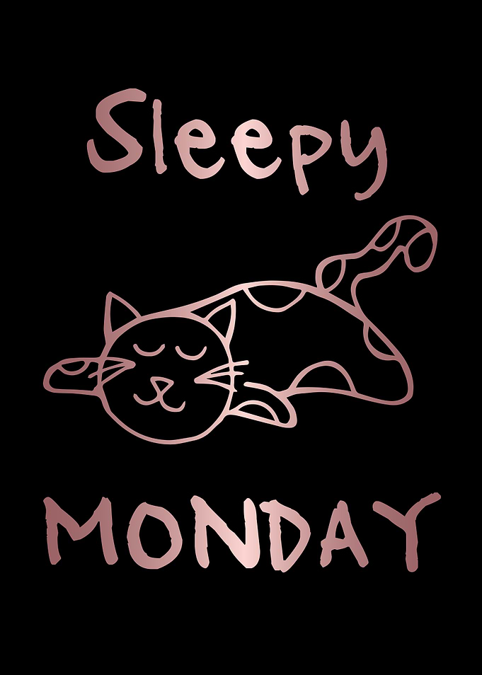 Funny Monday Cat 24