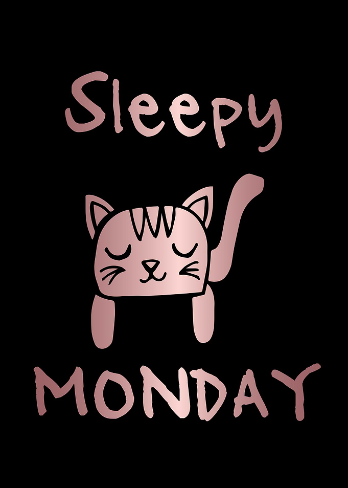 Funny Monday Cat 6