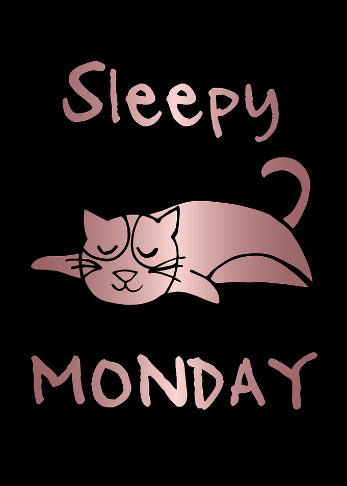 Funny Monday Cat 36