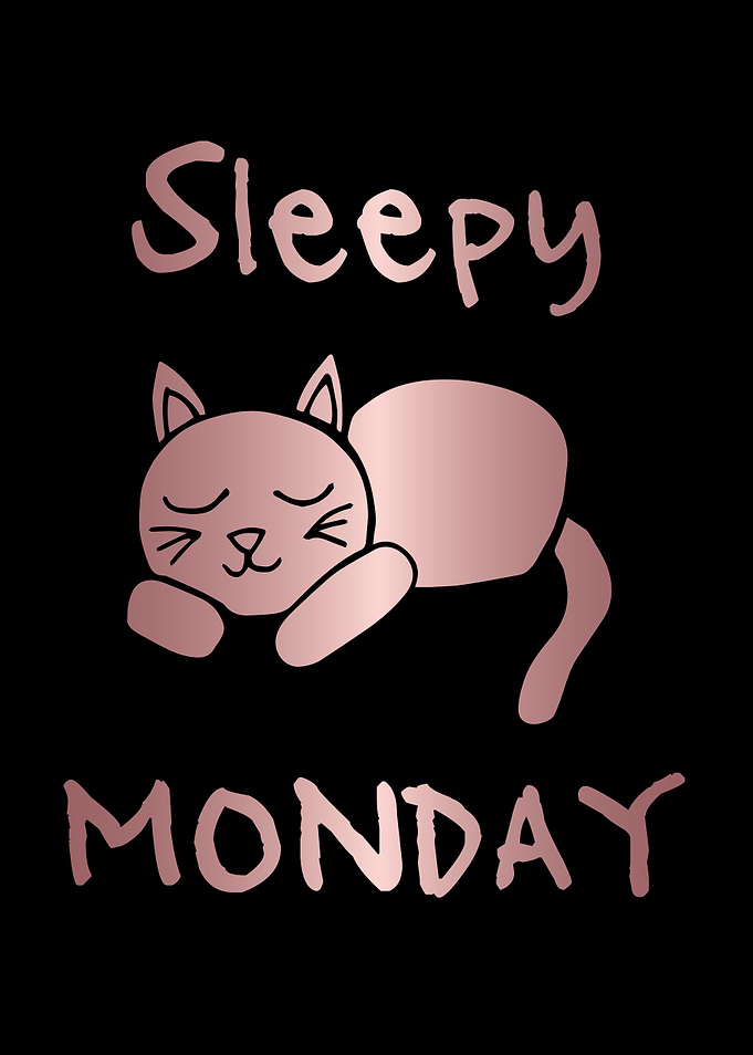 Funny Monday Cat 9