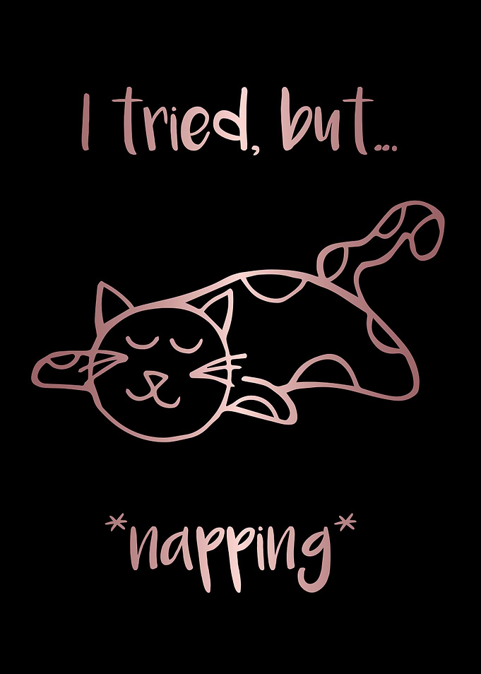 Nap Cat Animal 31