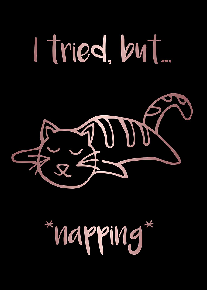 Nap Cat Animal 27