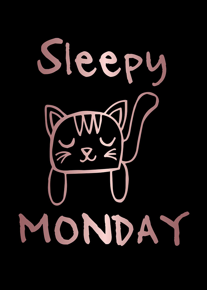 Funny Monday Cat 23