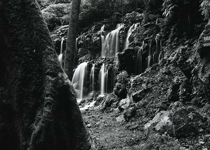 Ubud BW
